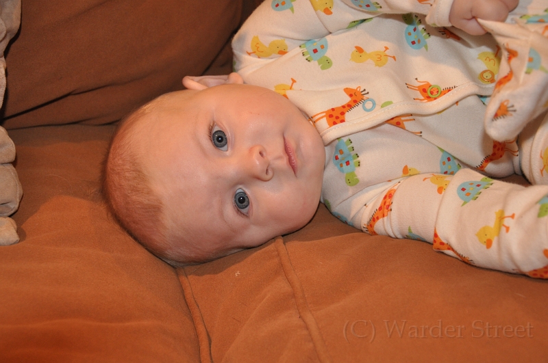 William's Twenty-Third Week 61.jpg